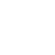 MiddleMarket-white-icon