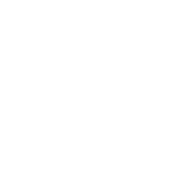 Surety-white-icon