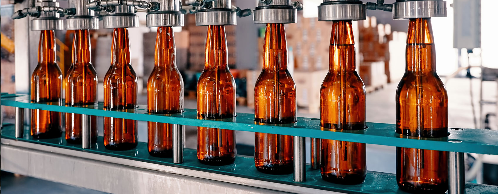 row of bottles on brewery assembly line