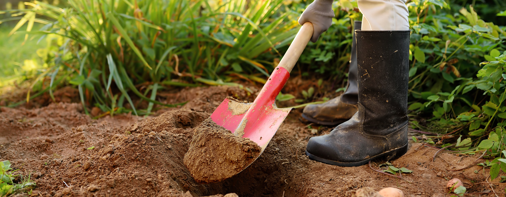 Person with work boots on digging with shovel in a yard.